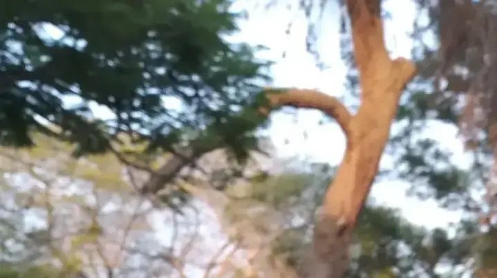 מבצע חרבות ברזל: קיבוץ ניר עוז בעוטף עזה, לאחר מתקפת חמאס מבצע חרבות ברזל: קיבוץ ניר עוז בעוטף עזה, לאחר מתקפת חמאס