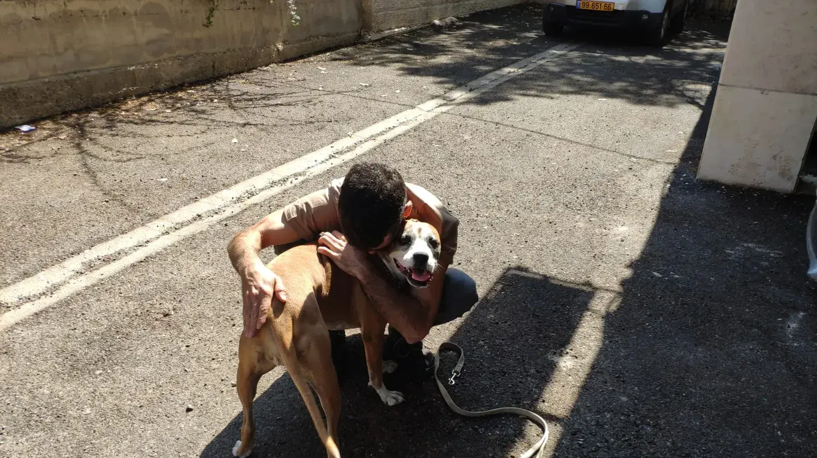 הכלבה לוקה, נפצעה במתקפת מחבלי חמאס בקיבוץ חולית הכלבה לוקה, נפצעה במתקפת מחבלי חמאס בקיבוץ חולית