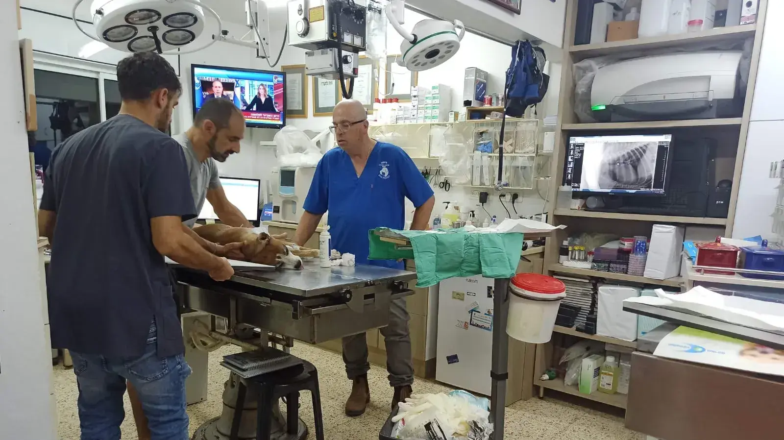 ד"ר אמיר שיפמן ובנו אור מנתחים את לוקה ד"ר אמיר שיפמן ובנו אור מנתחים את לוקה