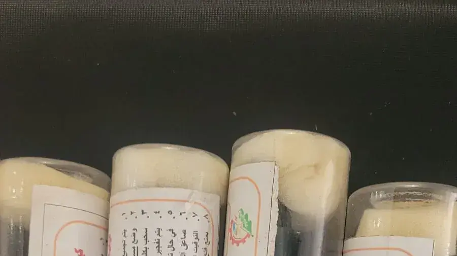 רימונים, נשקים וטילים: אמצעי הלחימה של חמאס שנתפסו בשטח ישראל רימונים, נשקים וטילים: אמצעי הלחימה של חמאס שנתפסו בשטח ישראל