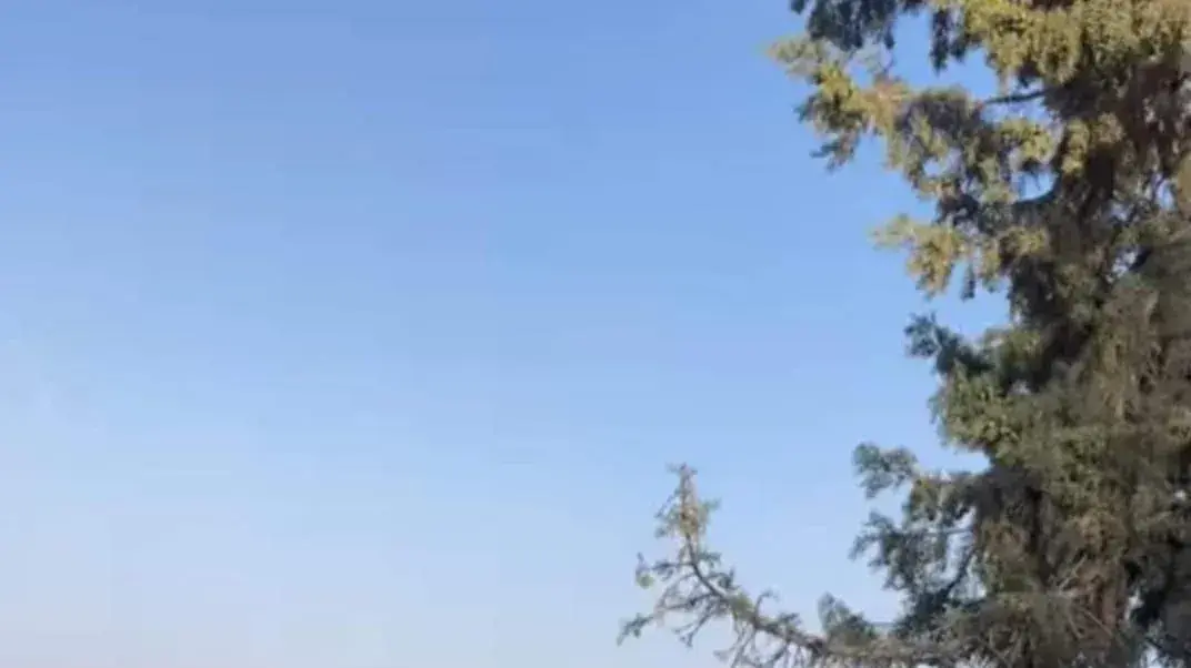 ימית וטל אורן בורחים במסיבת סופרנובה ברעים ימית וטל אורן בורחים במסיבת סופרנובה ברעים