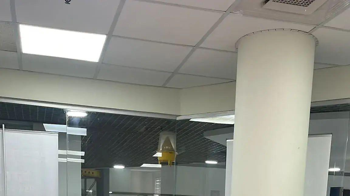 מור דקל חמ"ל תינוקות מור דקל חמ"ל תינוקות