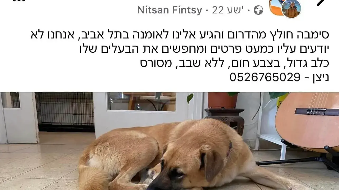 איתור כלבים מעוטף עזה איתור כלבים מעוטף עזה