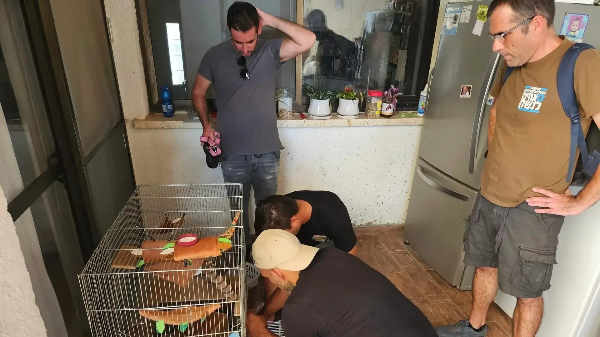 בתוך התופת מתנדבים מחלצים בעלי חיים מיישובי עוטף עזה. 23 באוקטובר 2023 בתוך התופת מתנדבים מחלצים בעלי חיים מיישובי עוטף עזה. 23 באוקטובר 2023