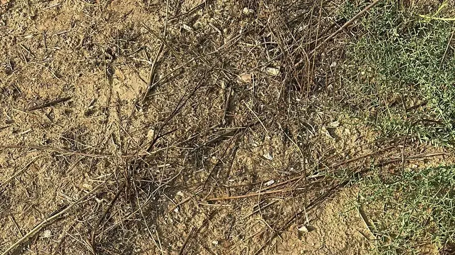ראש נפץ שנמצא בכפר חב"ד לאחר מטח רקטות לאיזור המרכז 14 באוקטובר 2023 ראש נפץ שנמצא בכפר חב"ד לאחר מטח רקטות לאיזור המרכז 14 באוקטובר 2023