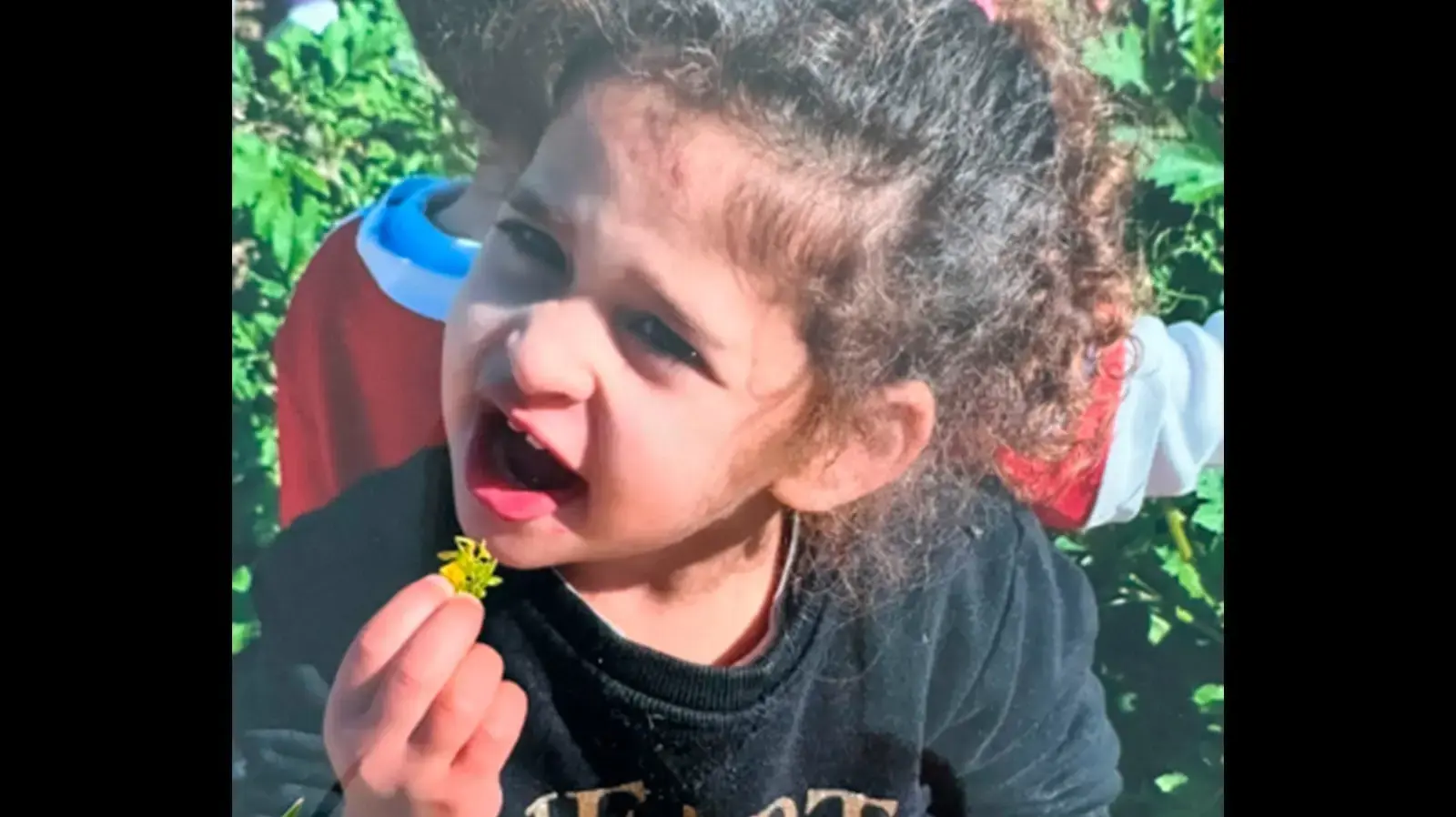 עידן אביגיל עידן אביגיל