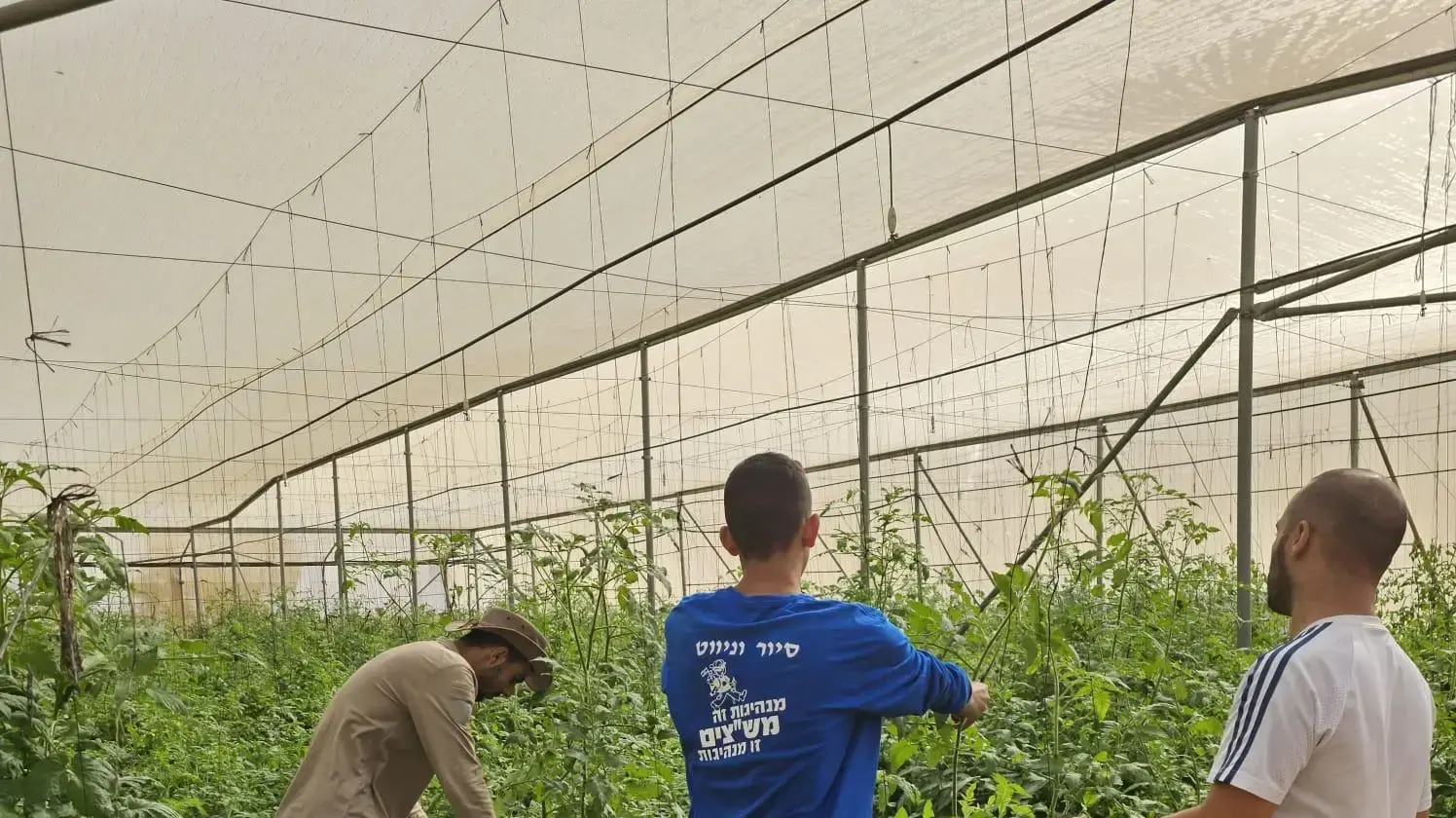 עשרות תלמידים בדואים מתנדבים בחקלאות בעוטף עזה עשרות תלמידים בדואים מתנדבים בחקלאות בעוטף עזה