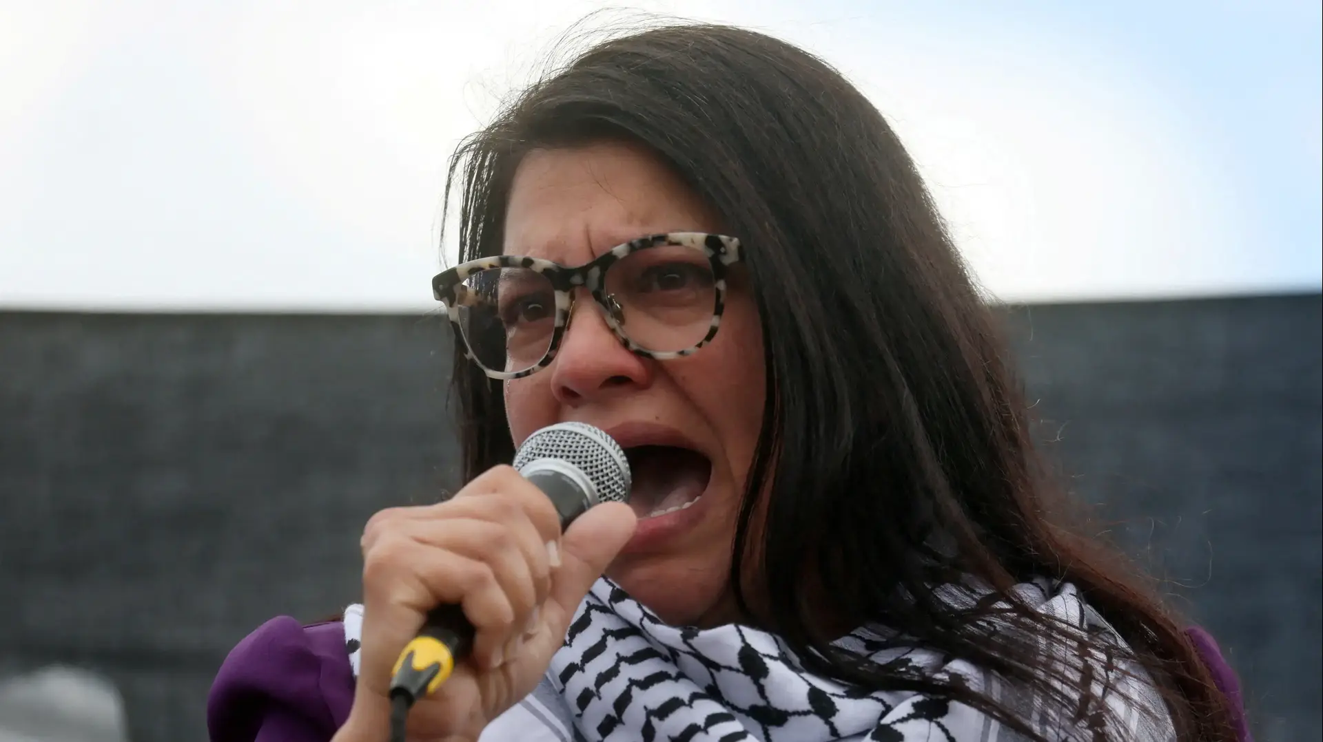 חברת הקונגרס רשידה טליב בהפגנה הקוראת להפסקת אש ברצועת עזה מחוץ לקפיטול בוושינגטון, ארה"ב, 18 באוקטובר 2023 חברת הקונגרס רשידה טליב בהפגנה הקוראת להפסקת אש ברצועת עזה מחוץ לקפיטול בוושינגטון, ארה"ב, 18 באוקטובר 2023