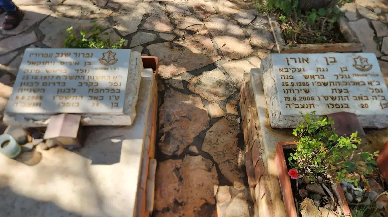 הקברים של נמרוד שגב ובן אורן