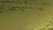 מילון המלחמה השלם - ב' מילון המלחמה השלם - ב'