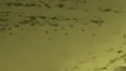 מילון המלחמה השלם - ח' מילון המלחמה השלם - ח'
