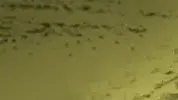 מילון המלחמה השלם - כ' מילון המלחמה השלם - כ'