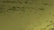 מילון המלחמה השלם - ס' מילון המלחמה השלם - ס'