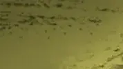 מילון המלחמה השלם - ע' מילון המלחמה השלם - ע'