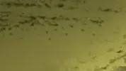 מילון המלחמה השלם - ק' מילון המלחמה השלם - ק'