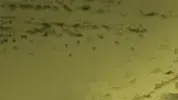 מילון המלחמה השלם - ר' מילון המלחמה השלם - ר'