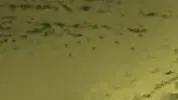 מילון המלחמה השלם - י' מילון המלחמה השלם - י'