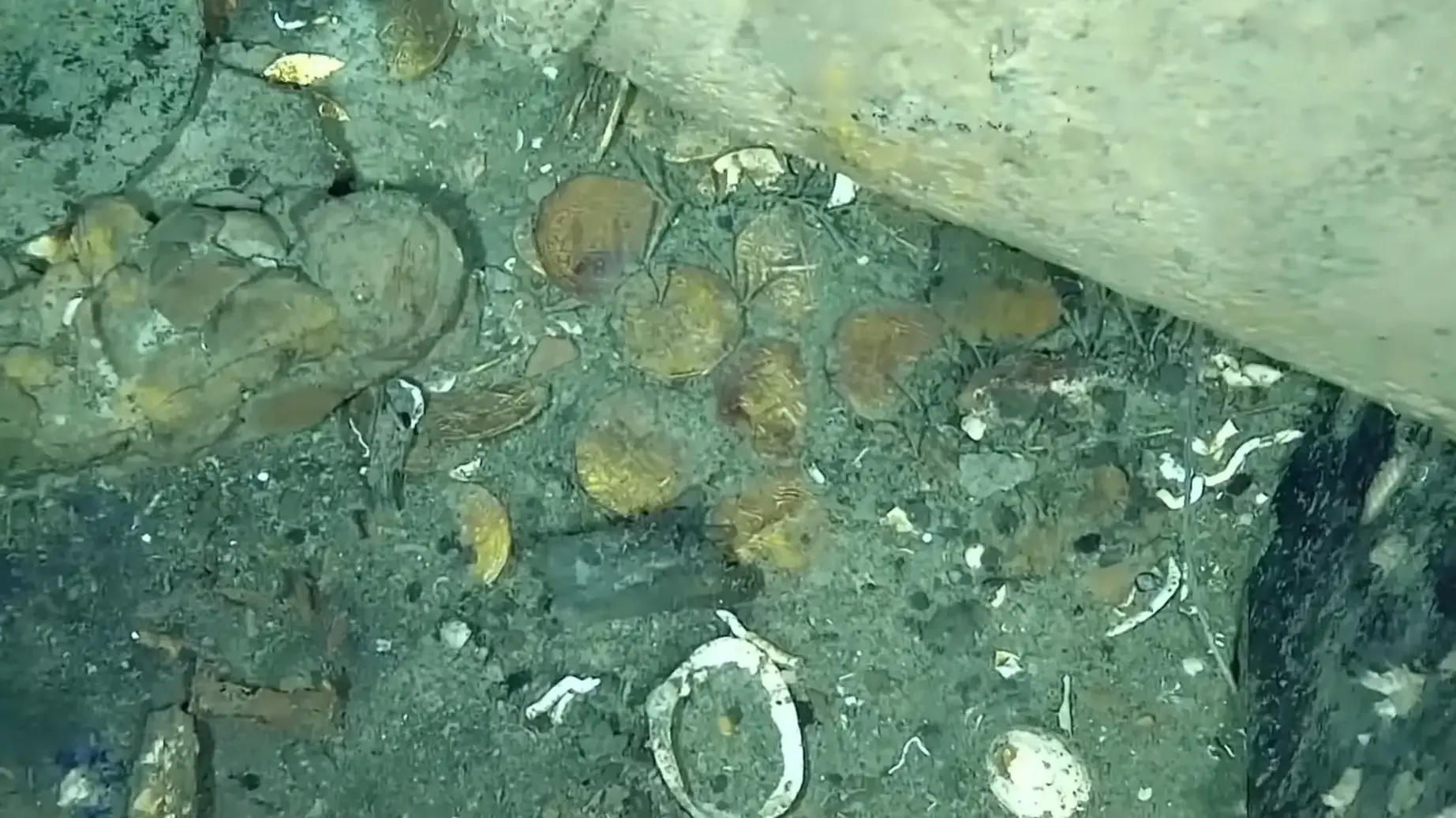 ההריסות ידועות בשם "הגביע הקדוש של הספינות הטרופות" בשל האוצר האדיר שנמצא בספינה ההריסות ידועות בשם "הגביע הקדוש של הספינות הטרופות" בשל האוצר האדיר שנמצא בספינה