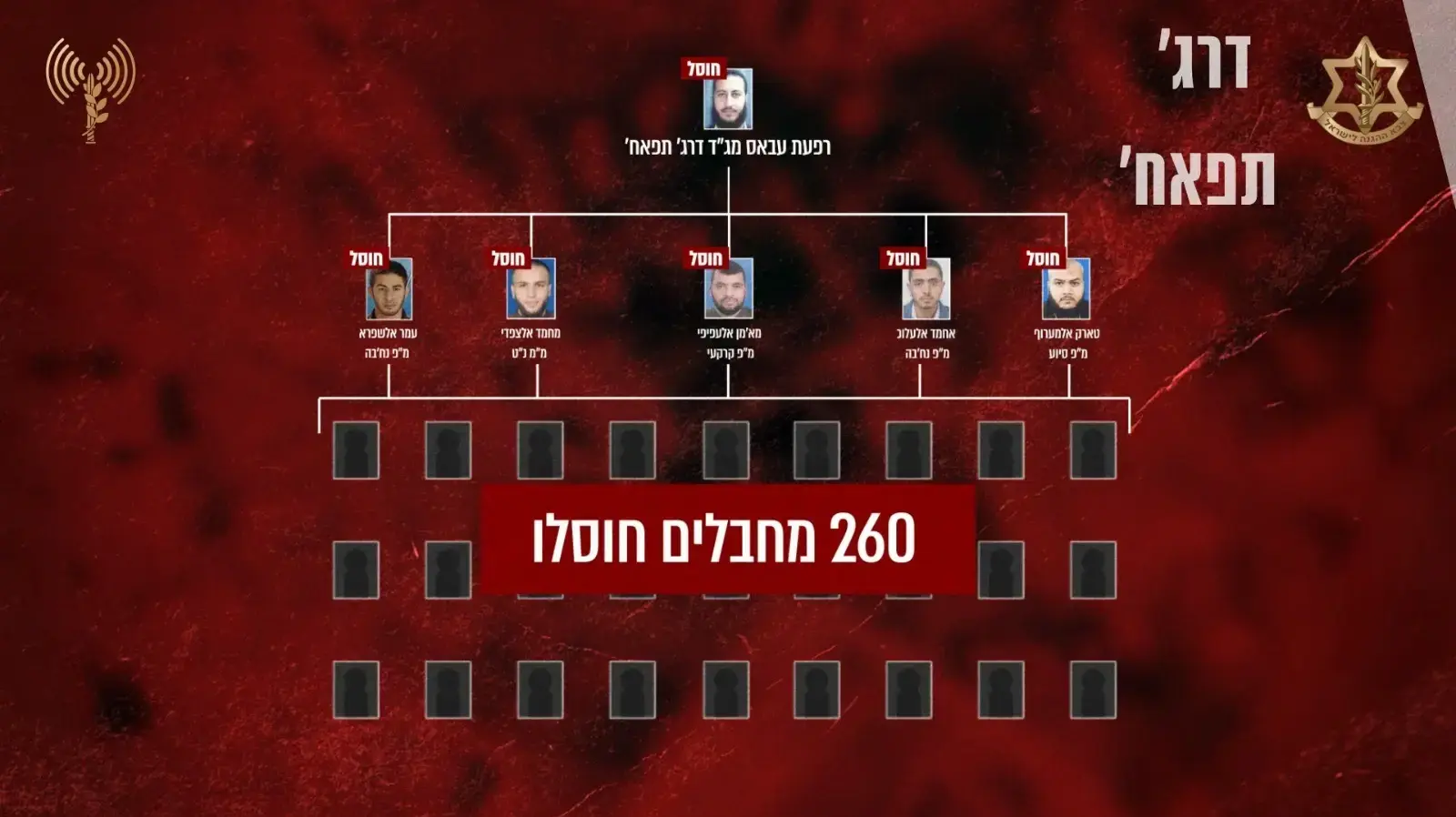 הפריסה הארגונית של חמאס ברצועת עזה בשני הגדודים (גדוד 'דראג' תפח' וגדוד 'שאטי') ואת מבנה הכוחות של חמאס