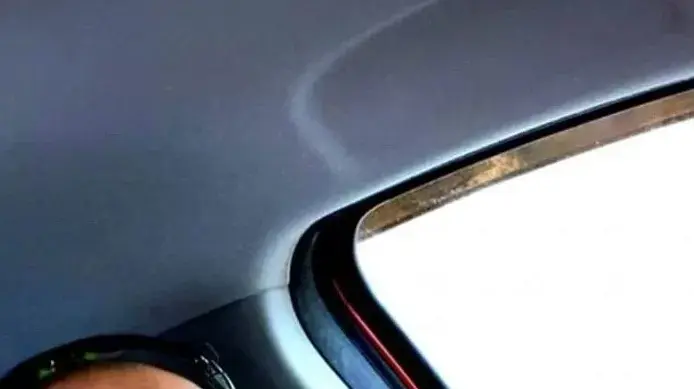 רס״ר (מיל׳) דוד (דודי) דגמי רס״ר (מיל׳) דוד (דודי) דגמי