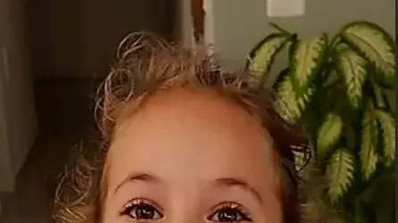 אלה אליקים אלה אליקים