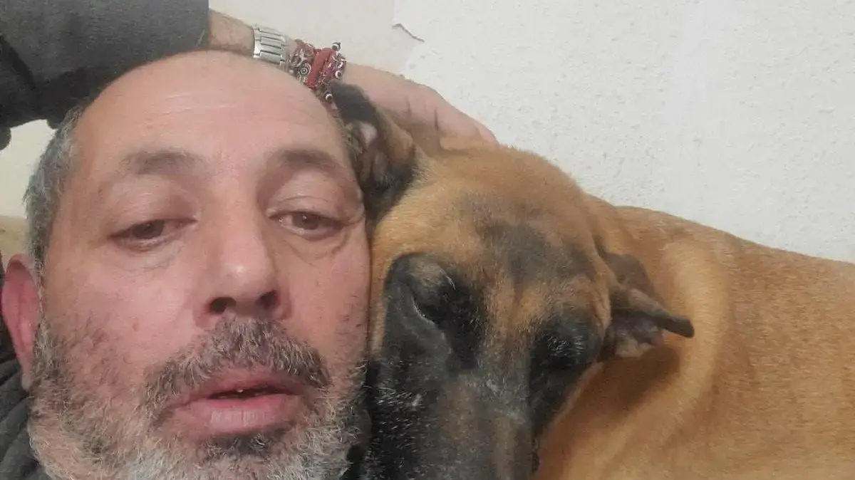 איתן לוי איתן לוי