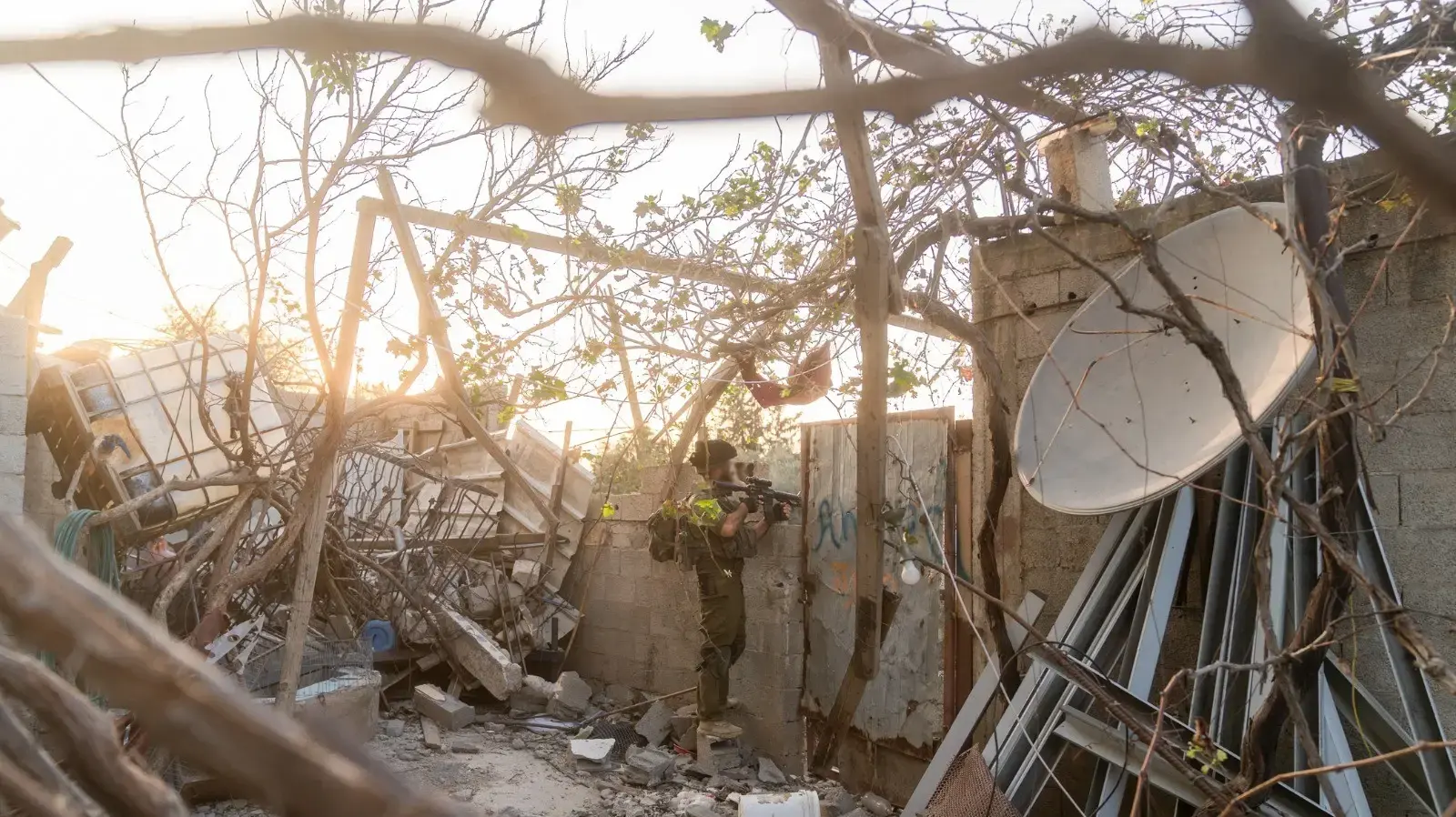 פעילות צה"ל בשג'עייה פעילות צה"ל בשג'עייה