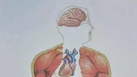 דרך מעבר הכדור בתוך גוף של הגבר שנורה בוויכוח על חנייה דרך מעבר הכדור בתוך גוף של הגבר שנורה בוויכוח על חנייה