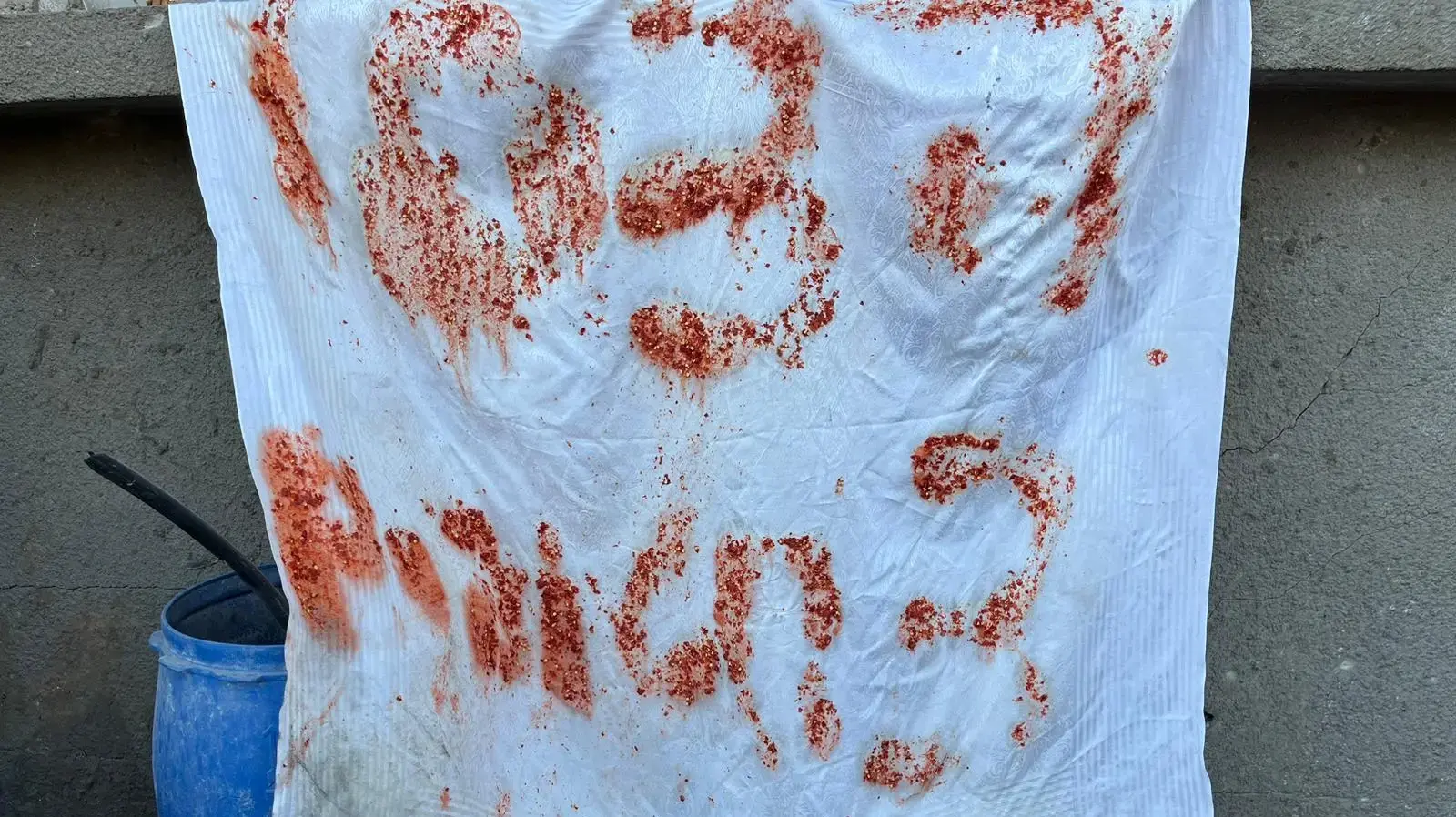 שלטים עליהם נכתבו קריאות לעזרה, ככל הנראה באמצעות שאריות מזון, רצועת עזה שלטים עליהם נכתבו קריאות לעזרה, ככל הנראה באמצעות שאריות מזון, רצועת עזה