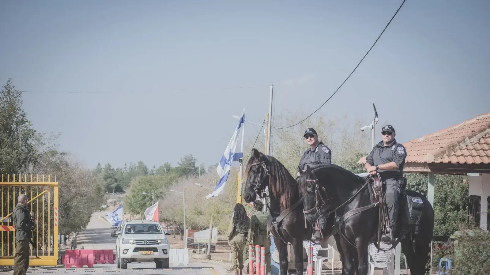 6 דונמים של חופש: הסוסים המשטרתיים יצאו לנופש בצפון 18 בדצמבר 2023