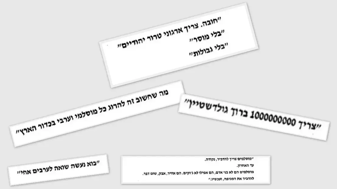פרסומיו נגד ערבים ומוסלמים של נועם דיין פרסומיו נגד ערבים ומוסלמים של נועם דיין