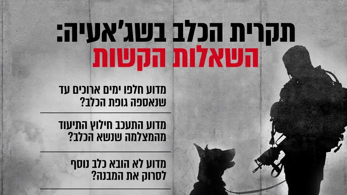 תקרית הכלב 