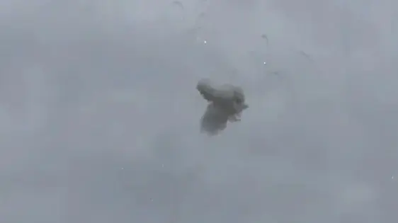 יירוט בצפון אחרי האזעקות על חדירת כלי טיס עוין יירוט בצפון אחרי האזעקות על חדירת כלי טיס עוין
