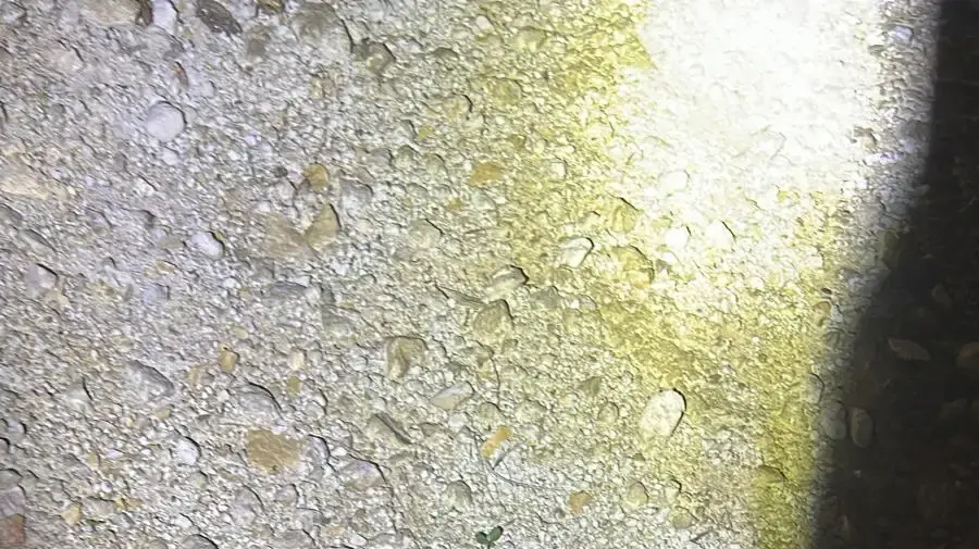 סכין ששימש לשוד בתחנת דלק בשפרעם סכין ששימש לשוד בתחנת דלק בשפרעם