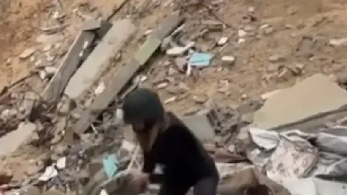 אדווה דדון אדוה אדווה דדון אדוה