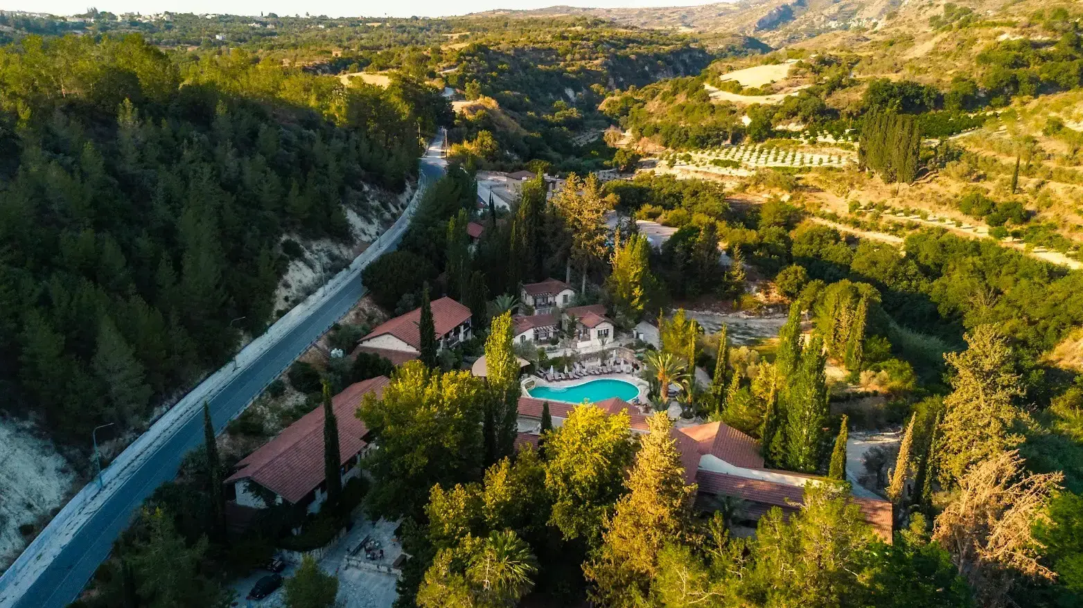 היער הסודי בקפריסין היער הסודי בקפריסין