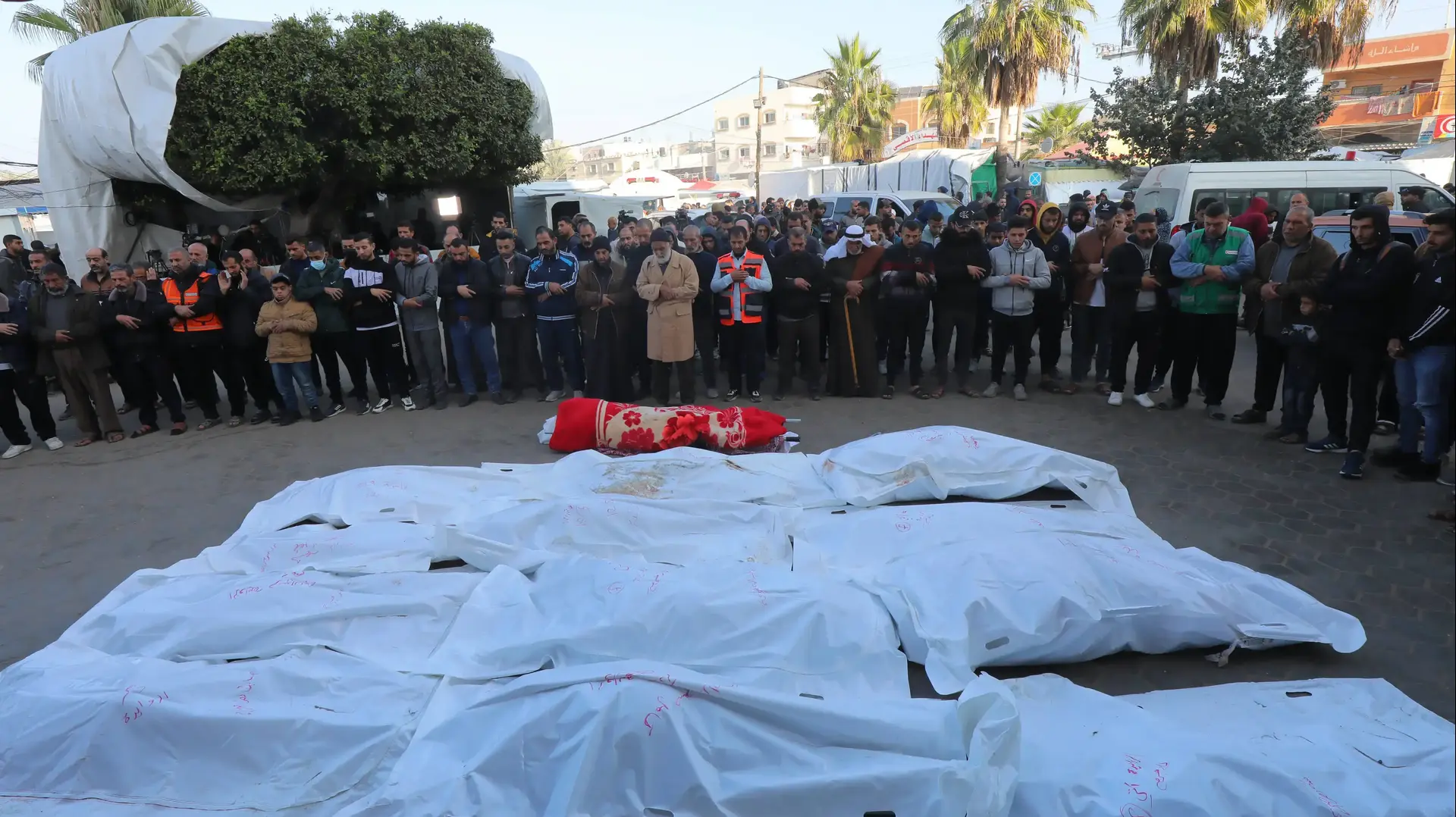 גופות עטופות בסדינים של פלסטינים שנהרגו בתקיפות צה"ל לקראת קבורתן בדיר אל-בלאח, רצועת עזה, 31 בדצמבר 2023 גופות עטופות בסדינים של פלסטינים שנהרגו בתקיפות צה"ל לקראת קבורתן בדיר אל-בלאח, רצועת עזה, 31 בדצמבר 2023