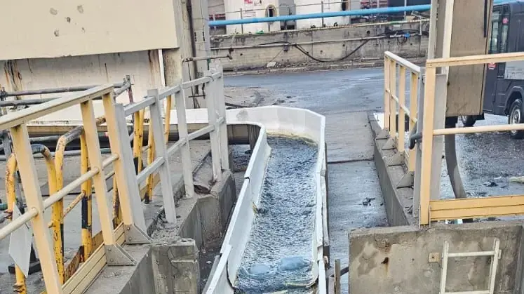 "ים של מדוזות" בתחנת הכוח רוטנברג של חברת החשמל