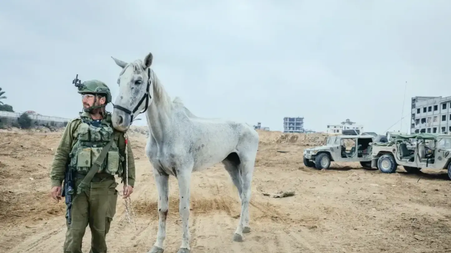 מלחמת חרבות ברזל
