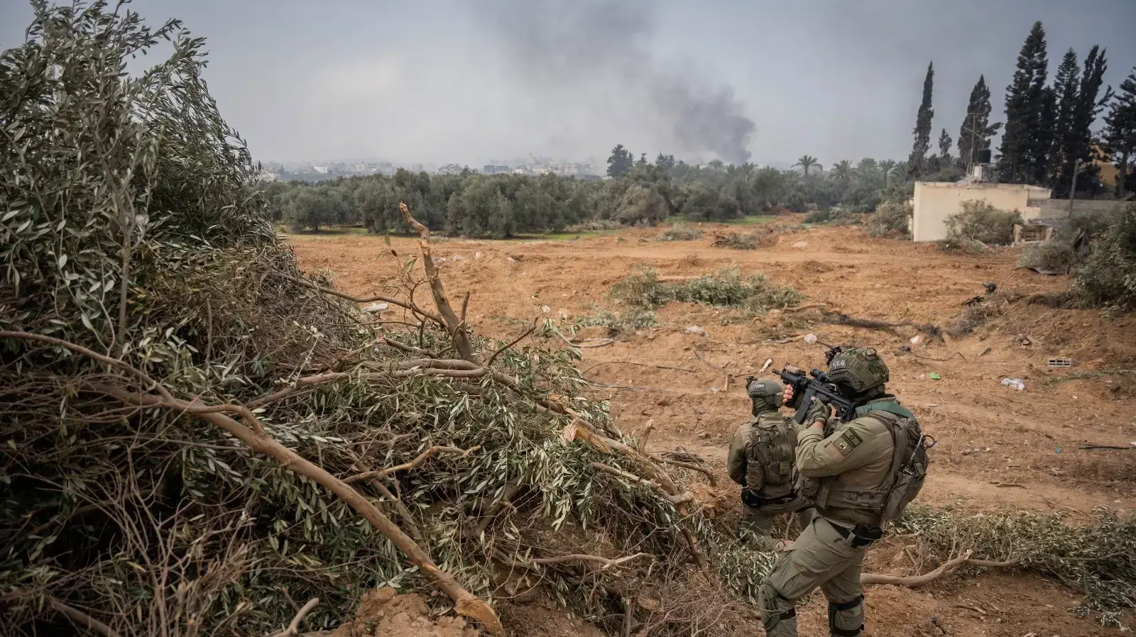 פעילות אוגדה 36, אל בורייג׳, רצועת עזה פעילות אוגדה 36, אל בורייג׳, רצועת עזה