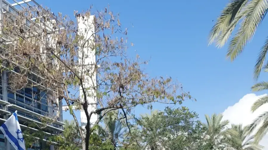 העצרת באוניברסיטת בר אילן העצרת באוניברסיטת בר אילן