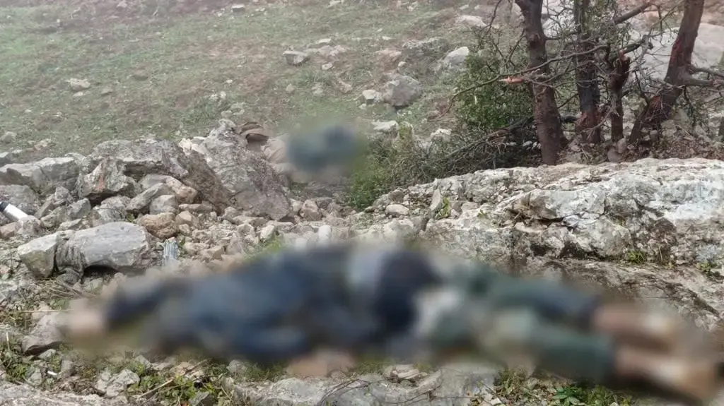 לוחמי צה"ל במילואים חיסלו מחבלים שחדרו משטח לבנון לעבר שטח מדינת ישראל. 13 בינואר 2024
לוחמי צה"ל במילואים חיסלו מחבלים שחדרו משטח לבנון לעבר שטח מדינת ישראל. 13 בינואר 2024