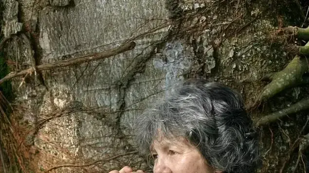 יומיים לאחר שננטשה, מרינה (בתמונה פותחת אגוז קוקוס בשיניה), מספרת שקבוצת קופים גילתה אותה שוכבת לבדה, "מכורבלת על האדמה בייאוש" יומיים לאחר שננטשה, מרינה (בתמונה פותחת אגוז קוקוס בשיניה), מספרת שקבוצת קופים גילתה אותה שוכבת לבדה, "מכורבלת על האדמה בייאוש"