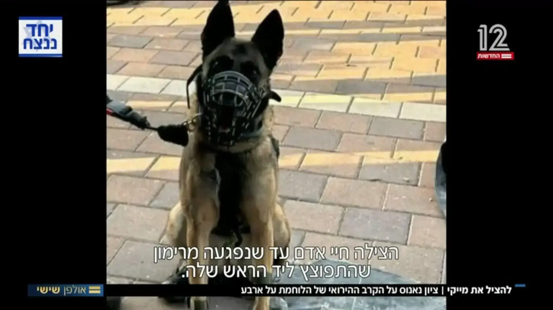 מייקי הכלבה - כתבה של ציון נאנוס באולפן שישי