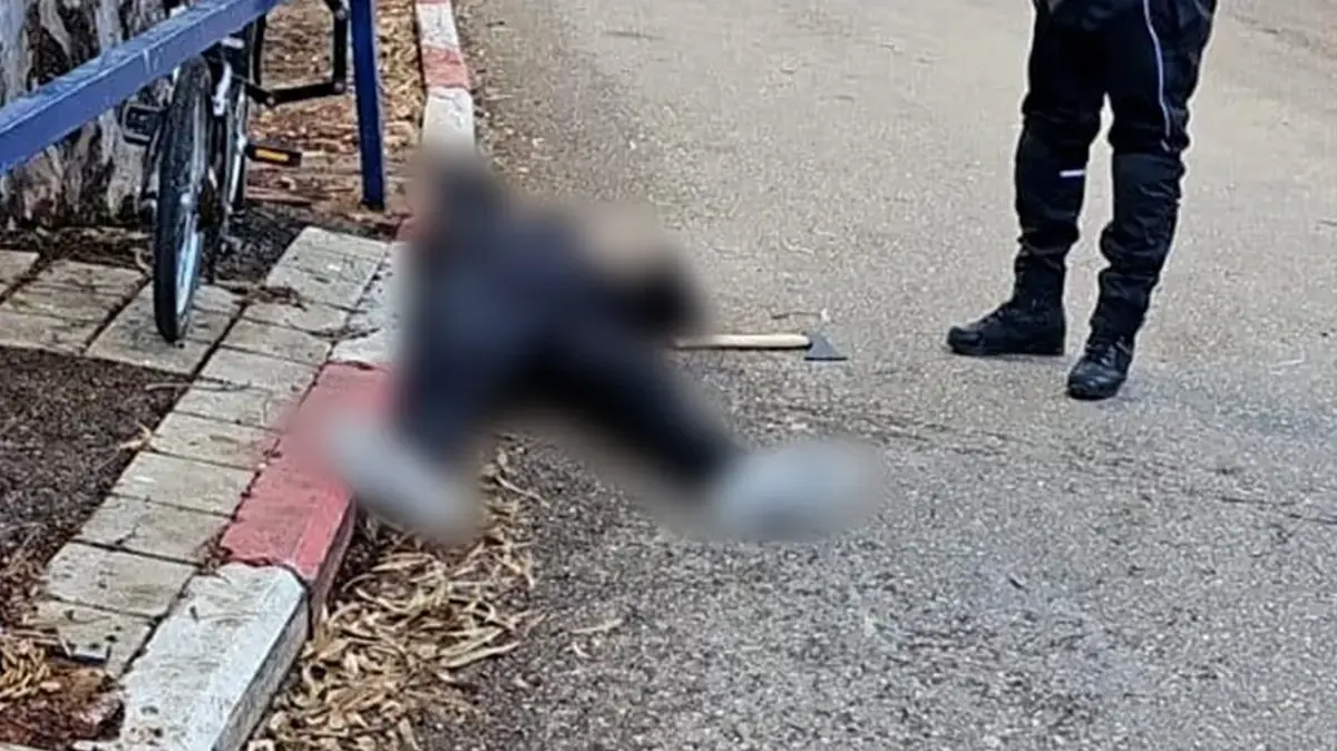 פיגוע דריסה סמוך לבסיס חיל הים,חיפה, 29 בינואר 2024 פיגוע דריסה סמוך לבסיס חיל הים,חיפה, 29 בינואר 2024