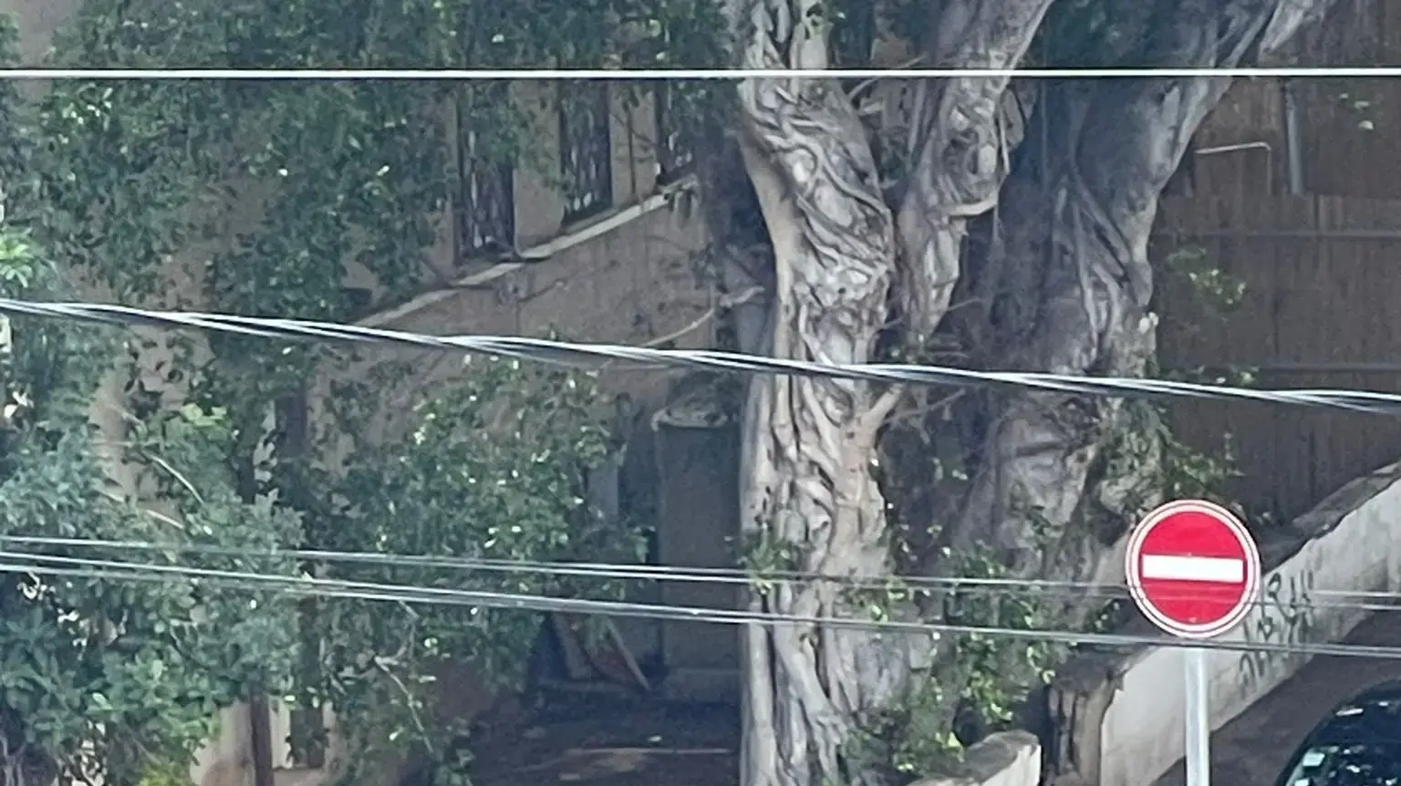 סריקות שוטרים לאחר פיגוע סמוך לבסיס חיל הים,חיפה, 29 בינואר 2024 סריקות שוטרים לאחר פיגוע סמוך לבסיס חיל הים,חיפה, 29 בינואר 2024