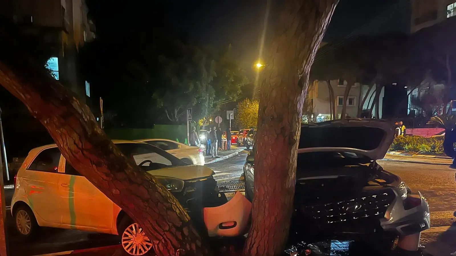 התמונות מזירת תאונת הדרכים בחיפה בה נהרגה אלי תירוש התמונות מזירת תאונת הדרכים בחיפה בה נהרגה אלי תירוש