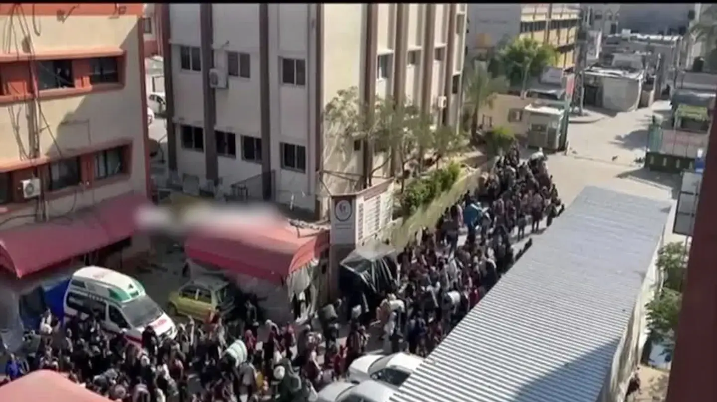 אספסוף ליד בית חולים נאצר חאן יונס אספסוף ליד בית חולים נאצר חאן יונס