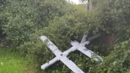 בבוסתן הגליל אותר כתב'מ שנפל