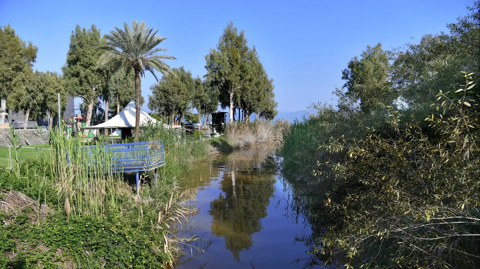 נחל צלמון נשפך לכינרת בגינוסר נחל צלמון נשפך לכינרת בגינוסר